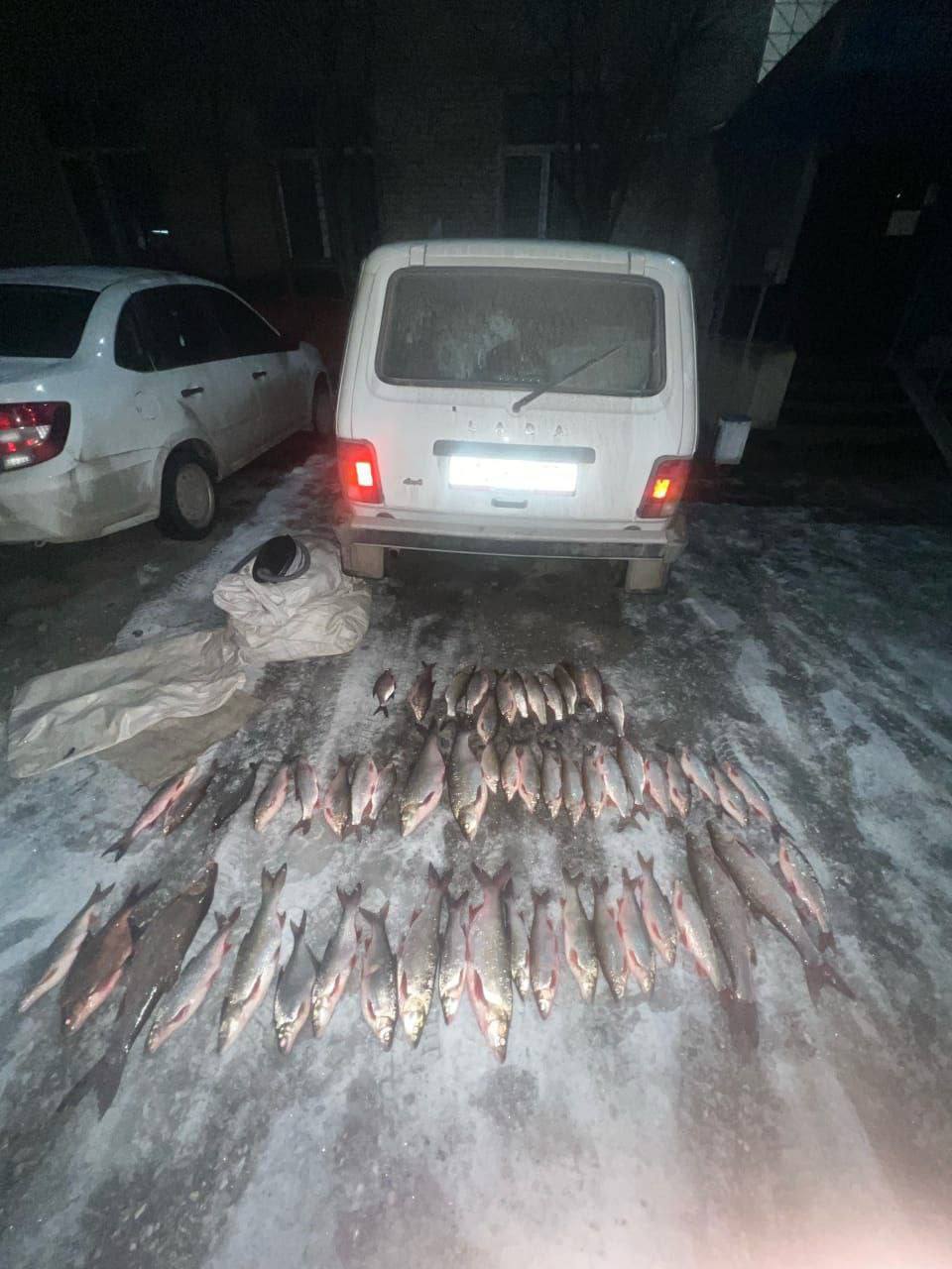 В Златоусте полицейские пресекли факт браконьерства