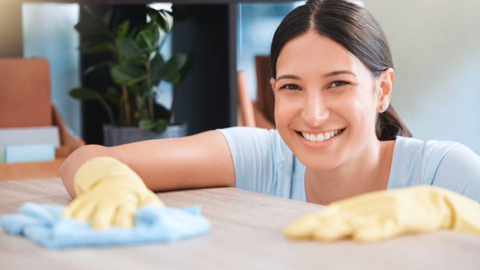 Пыли и след простынет: с этими «помощниками» забудете, как ее вытирать