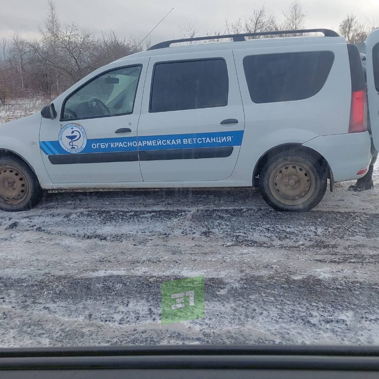 Под Копейском выбросили десятки мертвых кур Под Копейском выбросили десятки мертвых кур