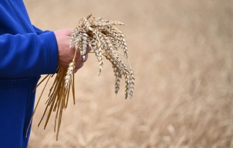 Двух рекордов по итогам уборочной достигли сельхозпредприятия Южного Урала