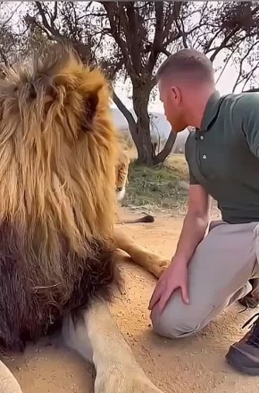 #СДобрымутром31. С Всемирным днем доброты Будьте сегодня сердечны и отзывчивы по отношению к другим, это вам обязательно вернется