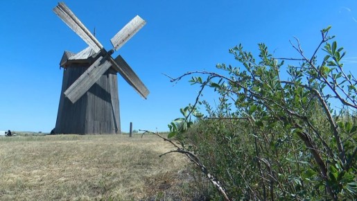 Рекордное количество туристов посетило за лето заповедник Аркаим
