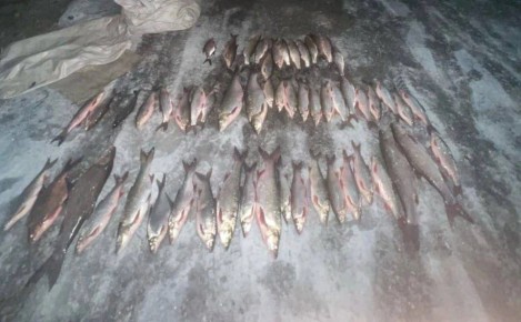В Челябинской области браконьера задержали с мешками рыбы
