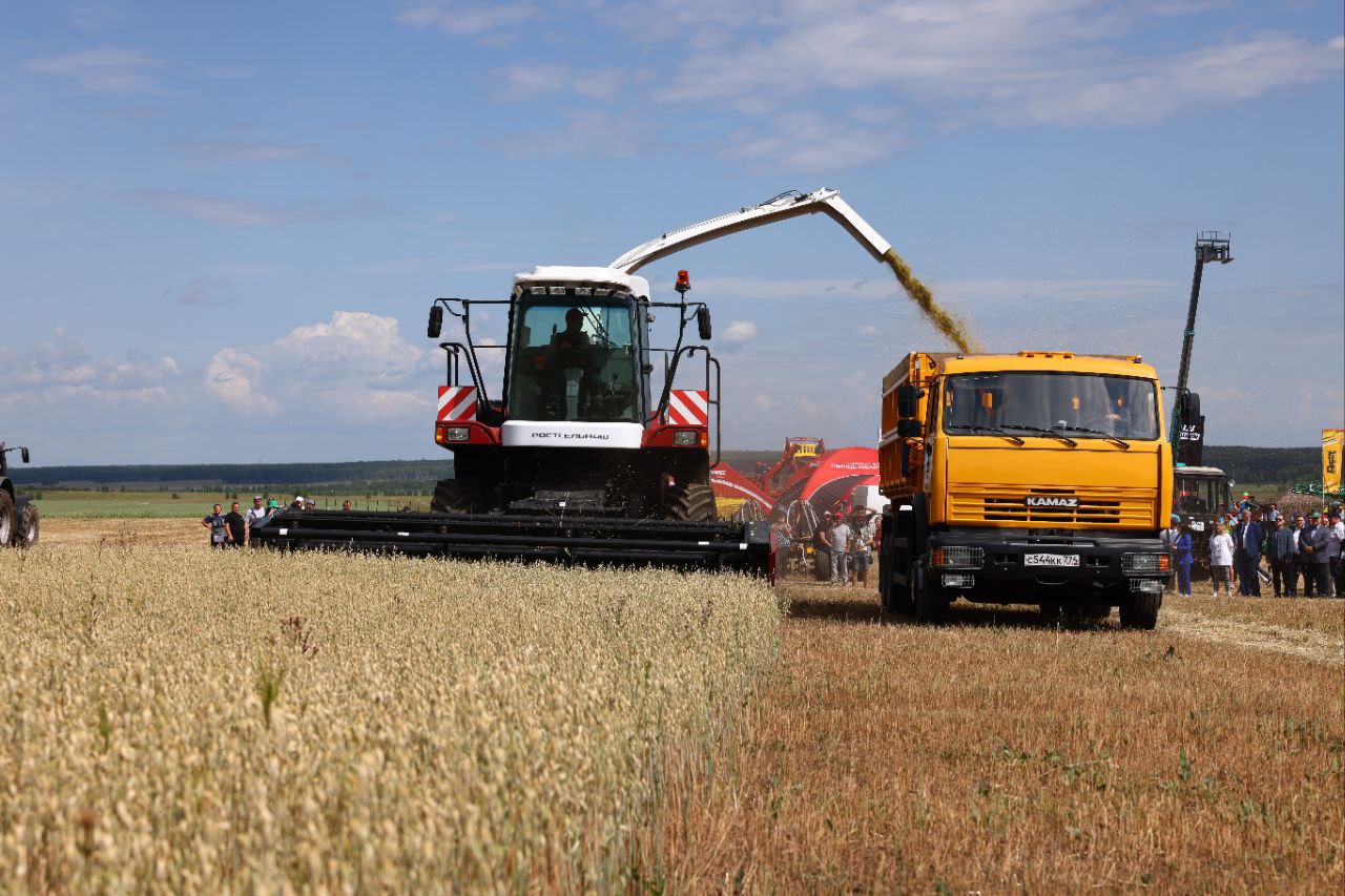 В Челябинской области установили исторический рекорд по урожаю зерна