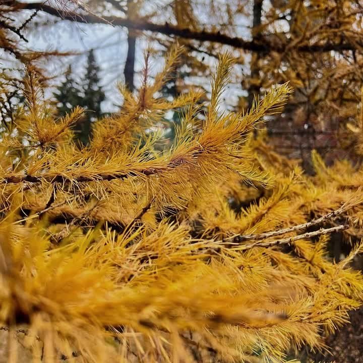 Облачно сегодня в Челябинске