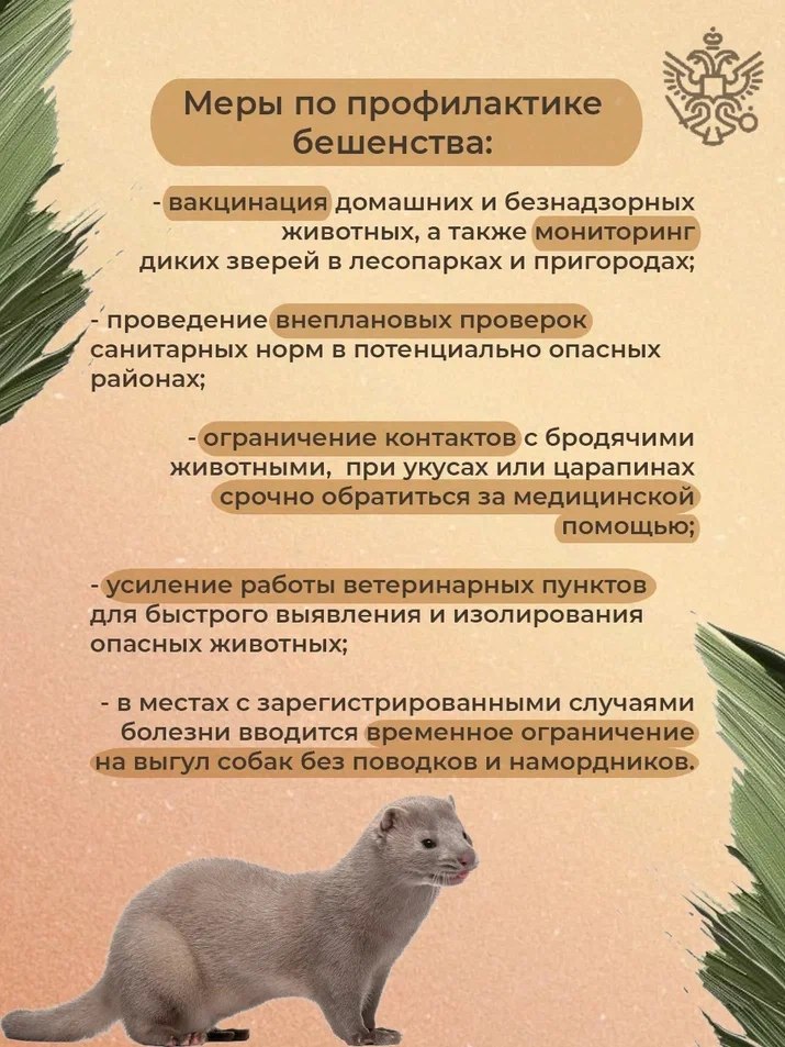 В первой половине 2025 года ветеринарные службы Челябинской области зафиксировали свыше 20 случаев бешенства среди диких и домашних животных В первой половине 2025 года ветеринарные службы Челябинской области зафиксировали свыше 20 случаев бешенства среди диких и домашних животных