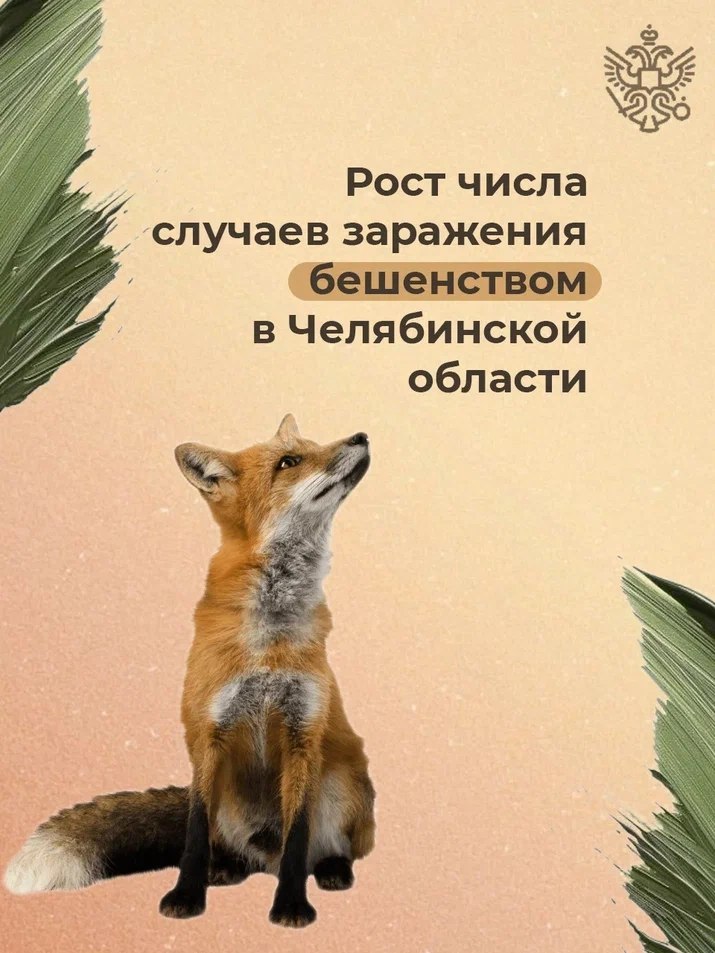В первой половине 2025 года ветеринарные службы Челябинской области зафиксировали свыше 20 случаев бешенства среди диких и домашних животных