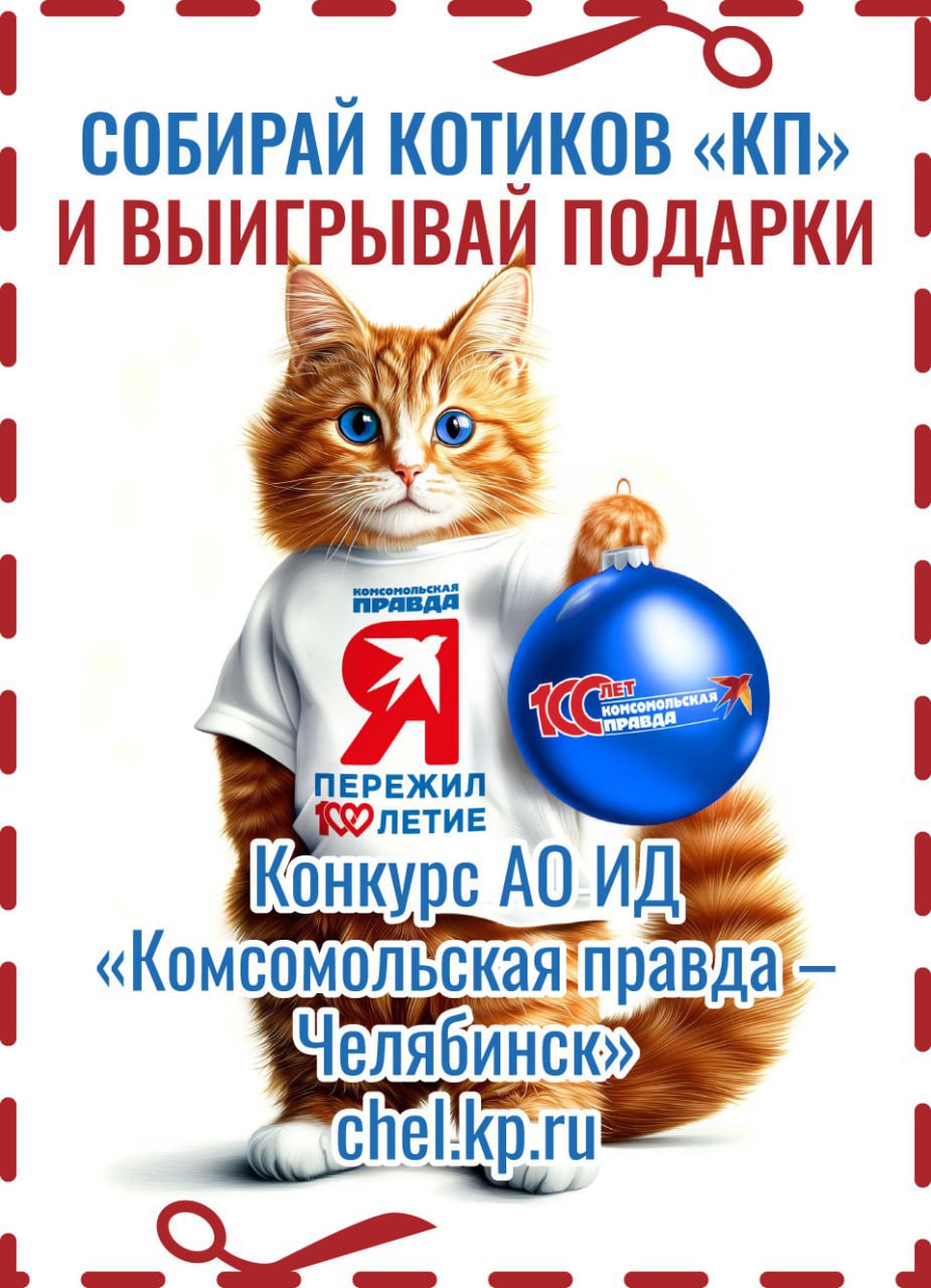 Котик «Комсомолки» дарит подарки: объявляем новогодний конкурс для читателей