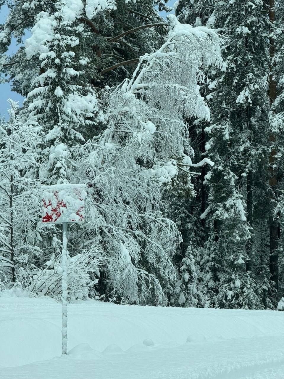 Хочется уже зимы и новогодних селфи? Хочется уже зимы и новогодних селфи?