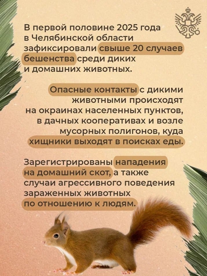 В первой половине 2025 года ветеринарные службы Челябинской области зафиксировали свыше 20 случаев бешенства среди диких и домашних животных В первой половине 2025 года ветеринарные службы Челябинской области зафиксировали свыше 20 случаев бешенства среди диких и домашних животных
