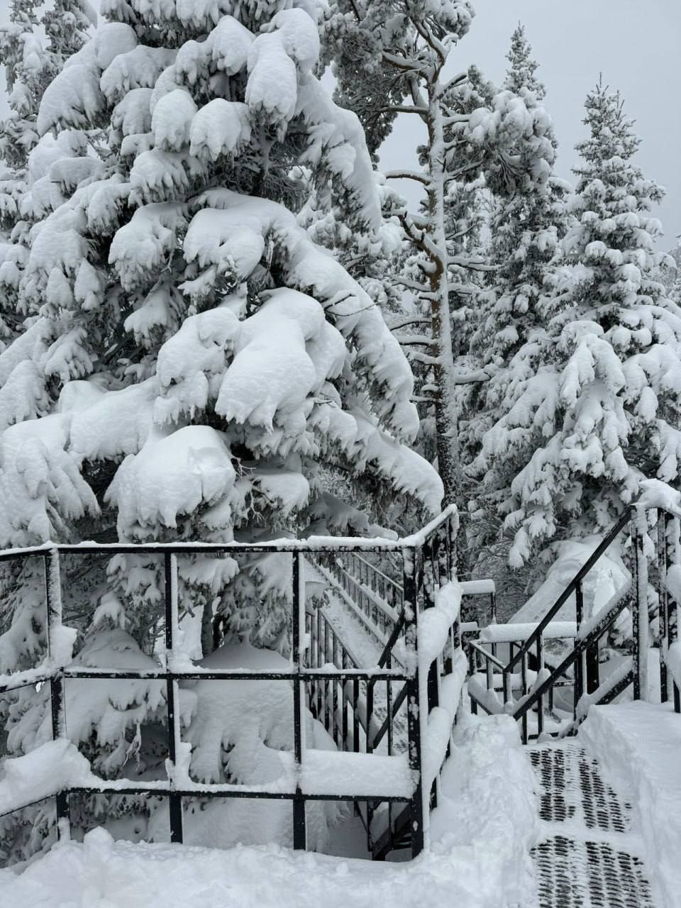 Хочется уже зимы и новогодних селфи? Хочется уже зимы и новогодних селфи?