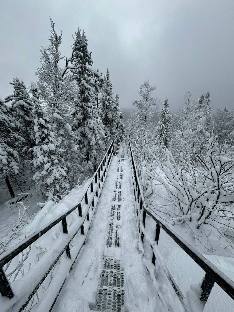 Хочется уже зимы и новогодних селфи? Хочется уже зимы и новогодних селфи?
