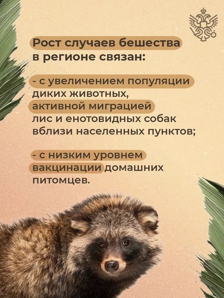 В первой половине 2025 года ветеринарные службы Челябинской области зафиксировали свыше 20 случаев бешенства среди диких и домашних животных В первой половине 2025 года ветеринарные службы Челябинской области зафиксировали свыше 20 случаев бешенства среди диких и домашних животных