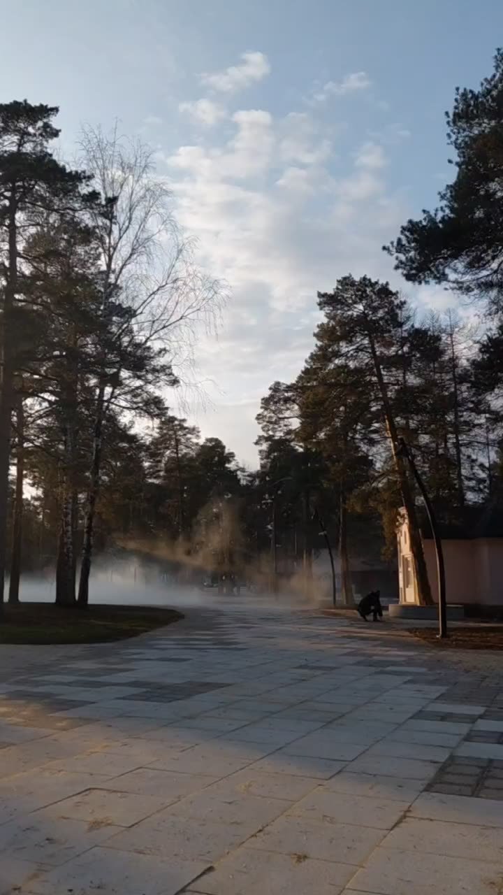 В челябинском парке Гагарина появился паровой фонтан