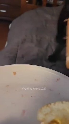 #СДобрымутром31. Сегодня праздник суточного застолья Желаем вкуснейших яств и приятного аппетита! Только не налегайте на горячительное, все-таки завтра придется работать