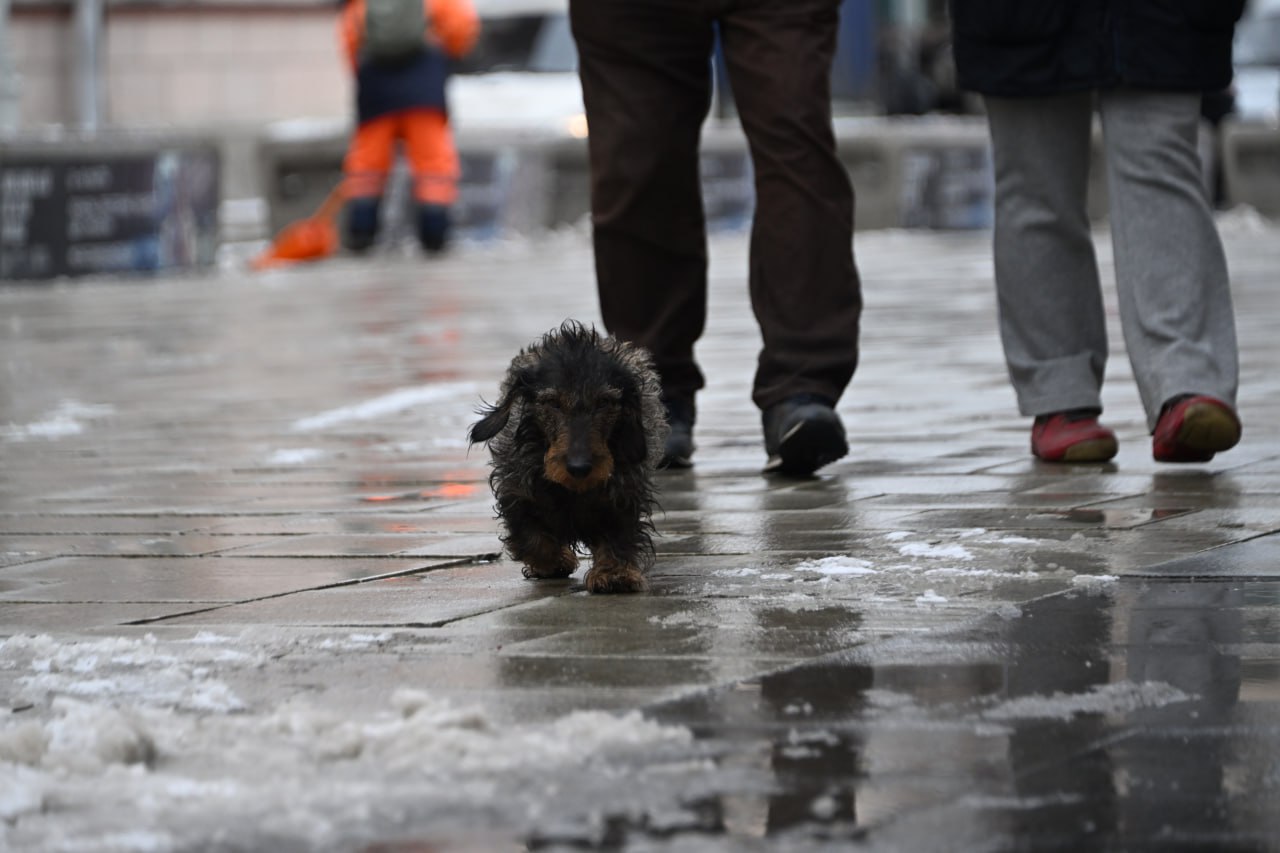 В Челябинскую область придут дожди и мокрый снег