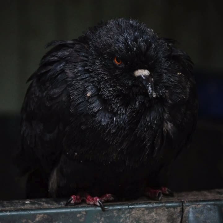 Небольшой дождь в Челябинске