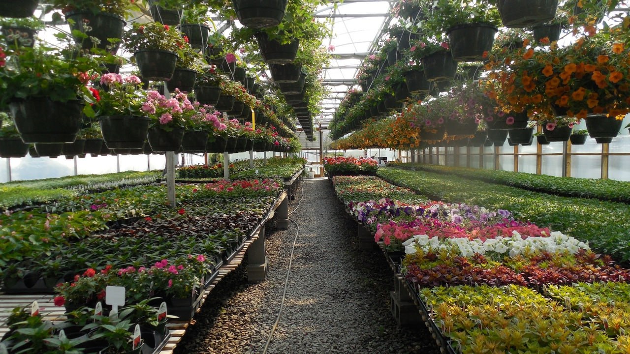 В Челябинске разработали новый датчик измерения влажности и температуры