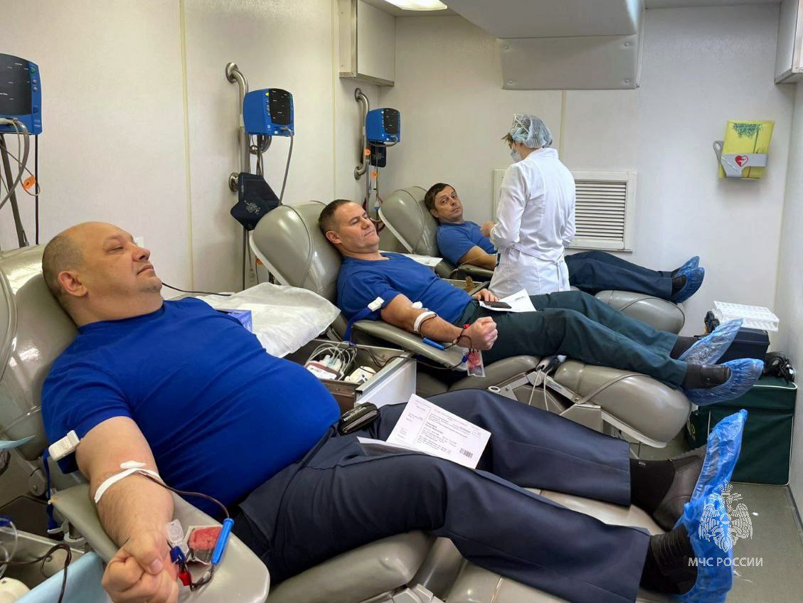 Делать добро - в нашей крови! Делать добро - в нашей крови!