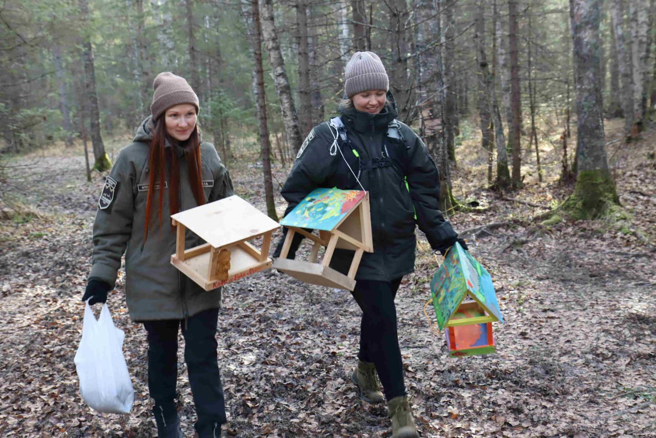 В нацпарках Челябинской области волонтеры развесили кормушки для птиц В нацпарках Челябинской области волонтеры развесили кормушки для птиц