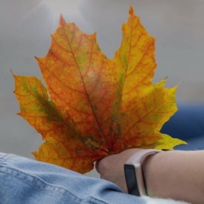 Облачно в Челябинске. Сегодня день тех, кто не спит ночами перед сессией, верит, что «авось пронесет» и находит друзей на всю жизнь