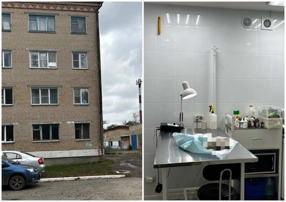 На глазах у детей: пьяный челябинец выбросил котенка с четвертого этажа и добил его ногой