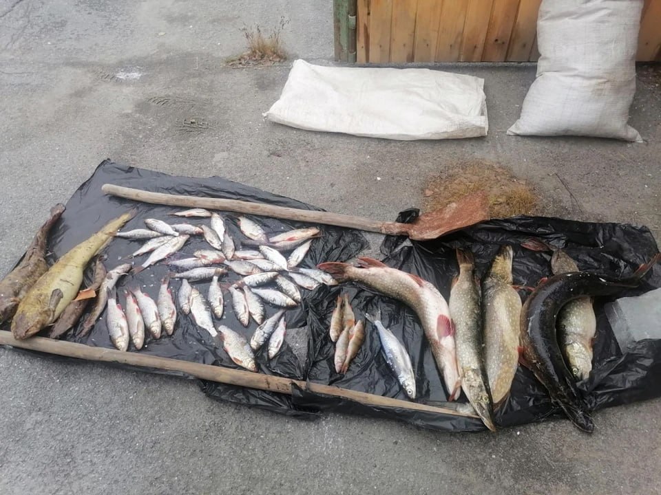 Использовал сети на 400 метров: в нацпарке «Зюраткуль» задержали браконьера за ловлю рыбы в заповедной зоне