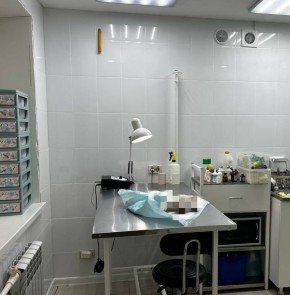 Житель Еманжелинска ответит в суде за жестокое обращение с животным