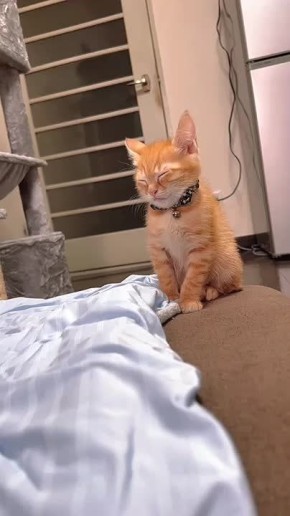 #СДобрымутром31. Типичное лицо работника пятидневки по понедельникам Всех невыспавшихся ждем у кофемашины, будем перезагружать систему