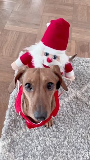 #СДобрымутром31. Сегодня День рождения Деда Мороза Составляем список желаний и начинаем считать дни до Нового года