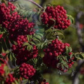 В Челябинске облачно с прояснениями