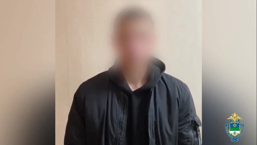 Дроппера и дроповода, участвовавших в схеме хищения 11 млн рублей у пенсионерки, задержала полиция Коми