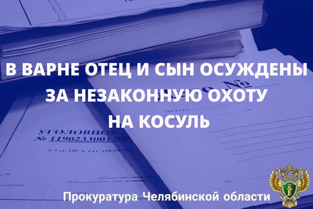 Варненский районный суд вынес приговор по уголовному делу в отношении двух местных жителей