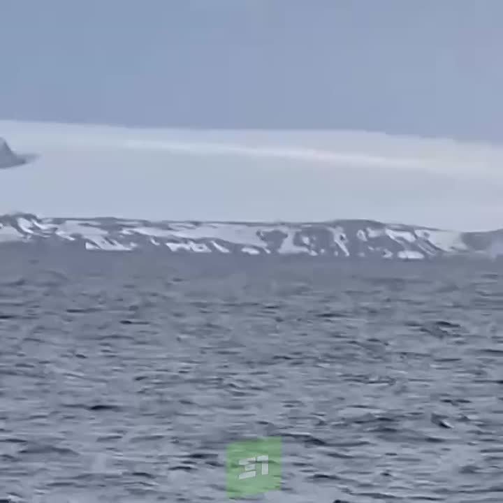 Федор Конюхов доплыл до Антарктиды