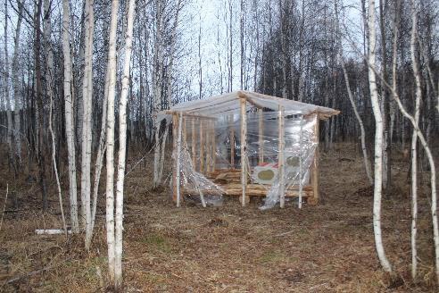 В Верхнем Уфалее полицейские задержали подозреваемого в незаконной рубке лесных насаждений