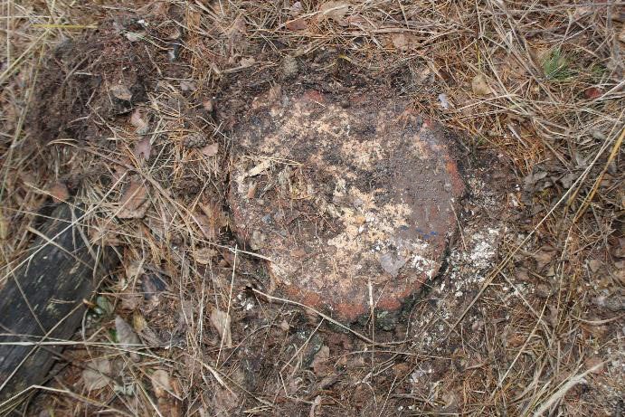 В Верхнем Уфалее полицейские задержали подозреваемого в незаконной рубке лесных насаждений В Верхнем Уфалее полицейские задержали подозреваемого в незаконной рубке лесных насаждений