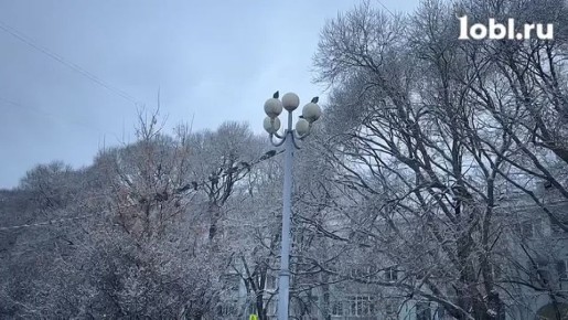 Челябинск делает вид, что наступила зима
