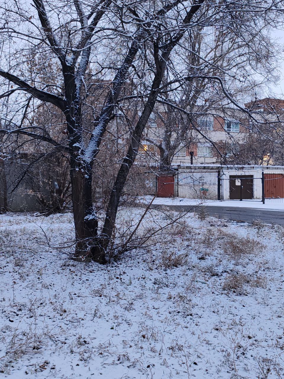 Наконец-то зима… или нет: Челябинск засыпало снегом, но задержатся ли сугробы? Наконец-то зима… или нет: Челябинск засыпало снегом, но задержатся ли сугробы?