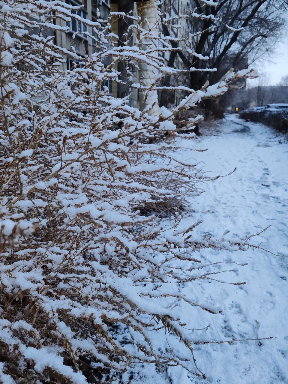 Наконец-то зима… или нет: Челябинск засыпало снегом, но задержатся ли сугробы? Наконец-то зима… или нет: Челябинск засыпало снегом, но задержатся ли сугробы?