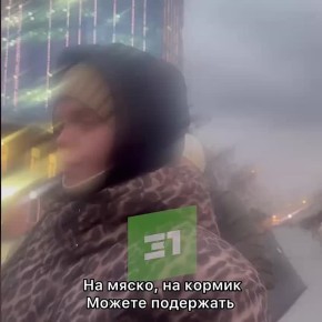 Едят мышей с Авито. Предприниматели с Кировки, которые устраивают фотосессии с совами, рассказали о содержании птиц