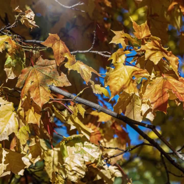 Солнечно в Челябинске. Сегодня день тех, кто смеется, играет, задает миллион вопросов и смотрит на нас с безграничным доверием