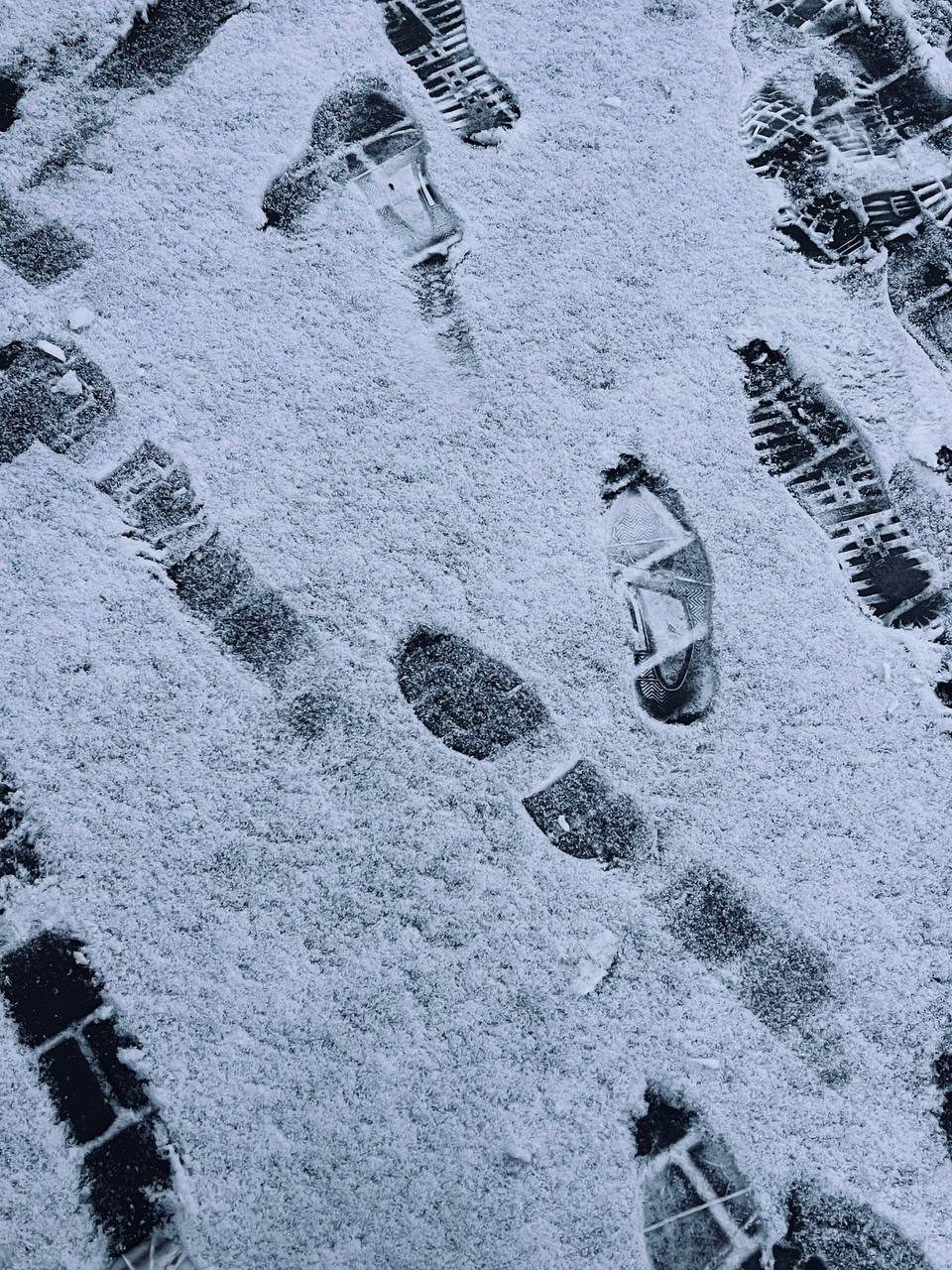 Снег в Челябинской области сегодня ночью ложился избирательно Снег в Челябинской области сегодня ночью ложился избирательно