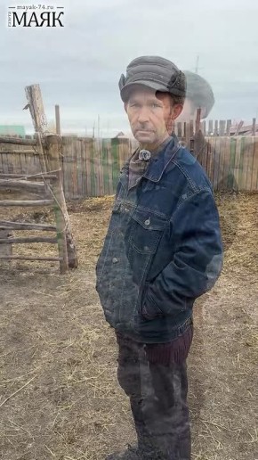 Коровы и лошади в хозяйстве Челябинской области остались без корма после пожара