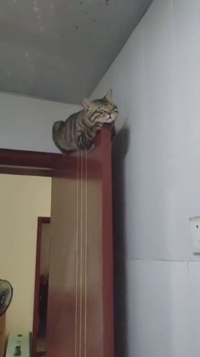 #31. ,   ,     ,          !