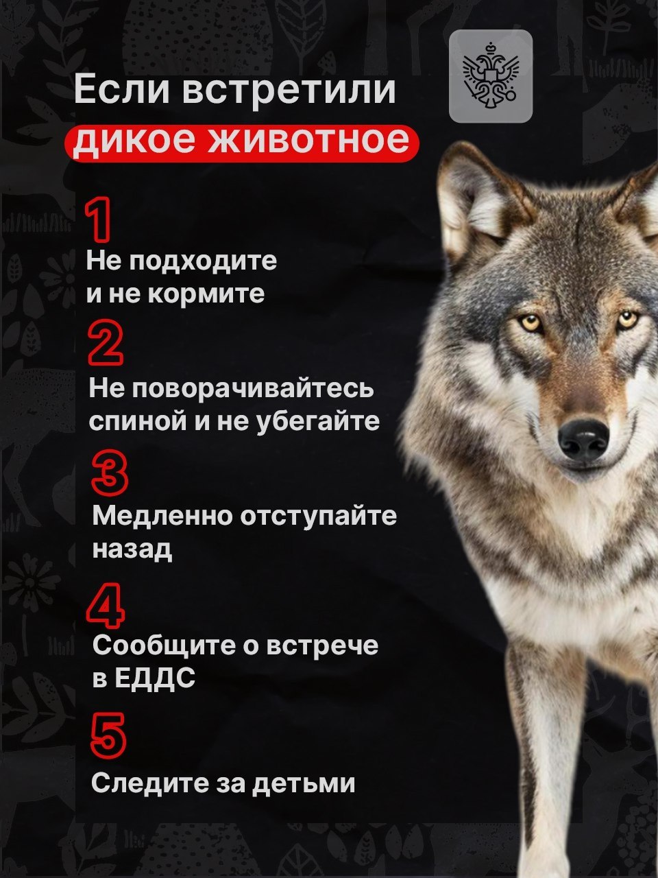 Дикие животные всё чаще начинают появляться рядом с людьми Дикие животные всё чаще начинают появляться рядом с людьми