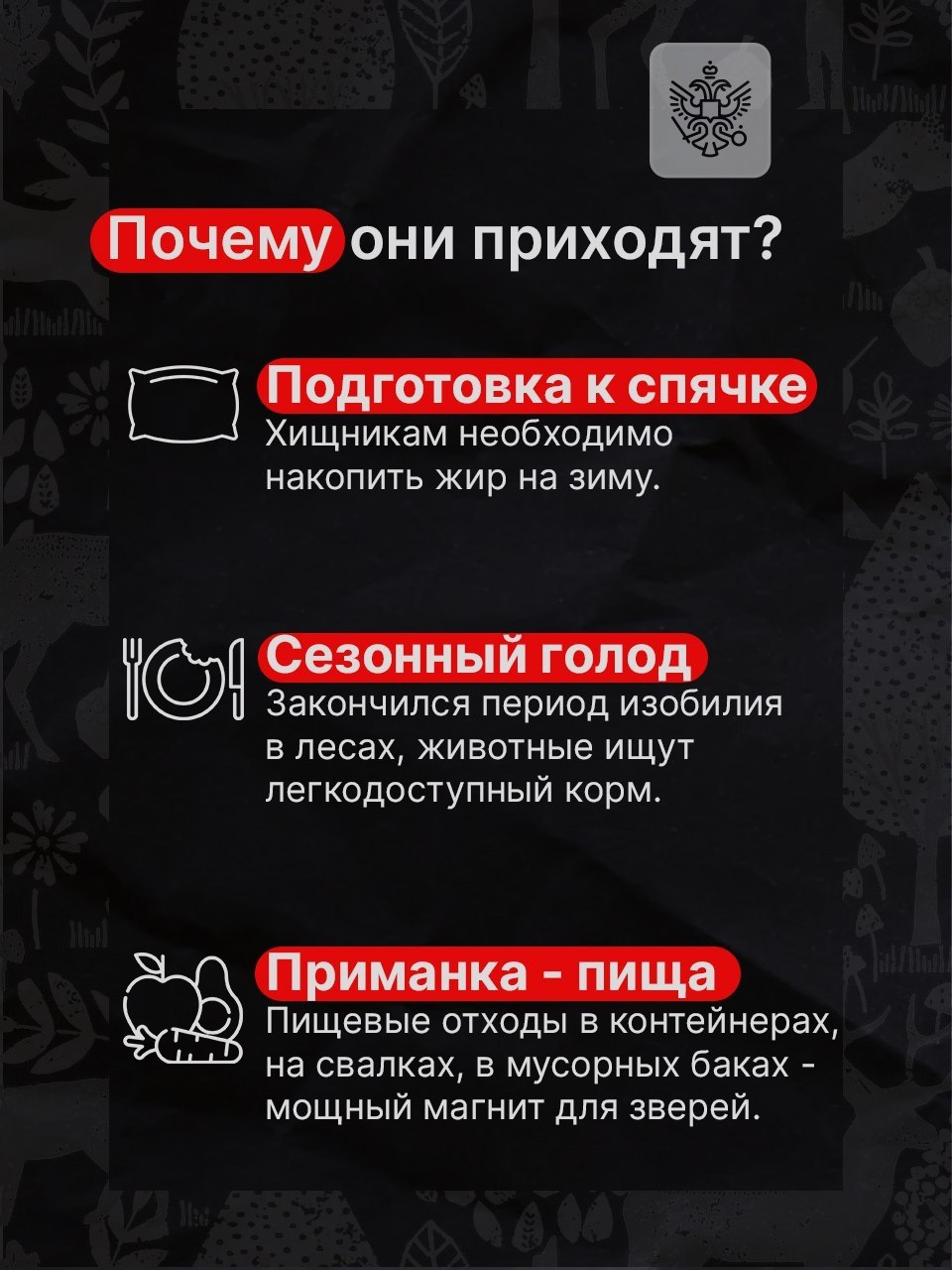 Дикие животные всё чаще начинают появляться рядом с людьми Дикие животные всё чаще начинают появляться рядом с людьми