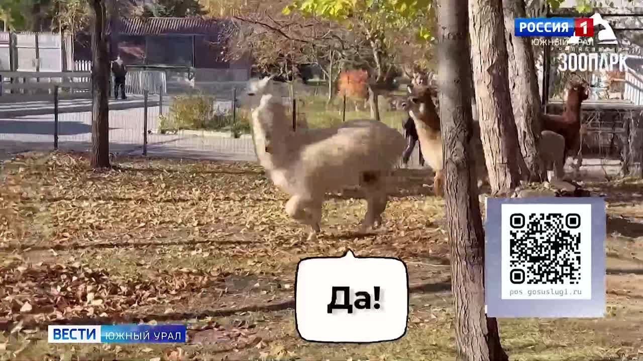 Челябинск борется за звание культурной столицы России: зачем это городу и жителям