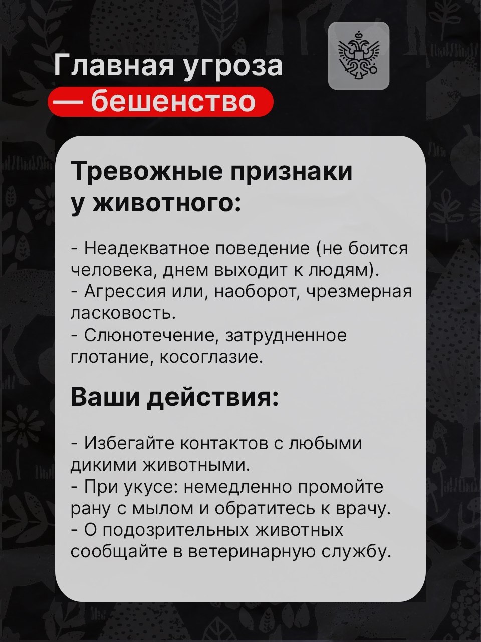 Дикие животные всё чаще начинают появляться рядом с людьми Дикие животные всё чаще начинают появляться рядом с людьми