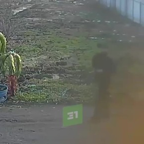 Бросил крышку люка в окно и выстрелил в человека