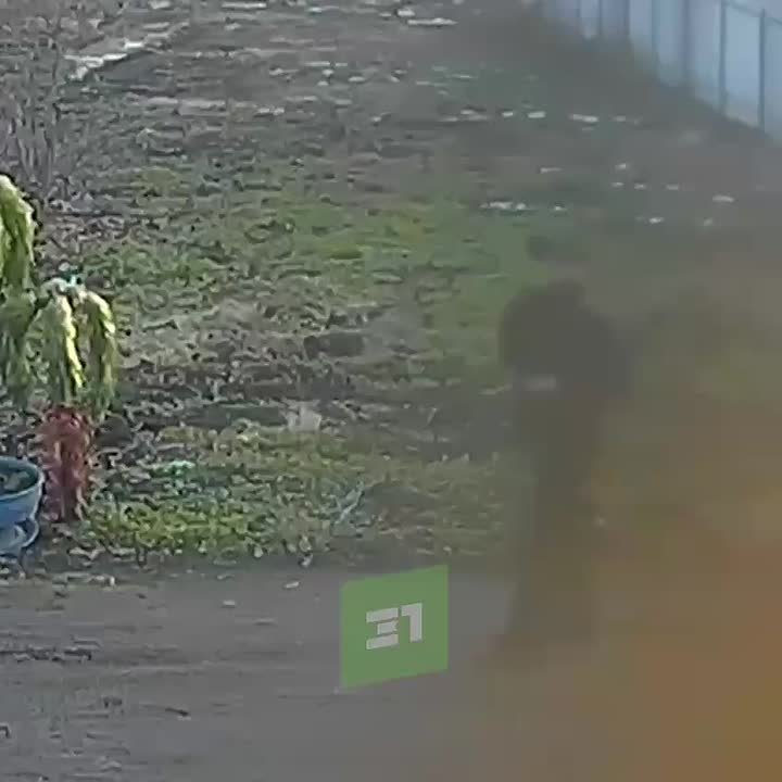 Бросил крышку люка в окно и выстрелил в человека